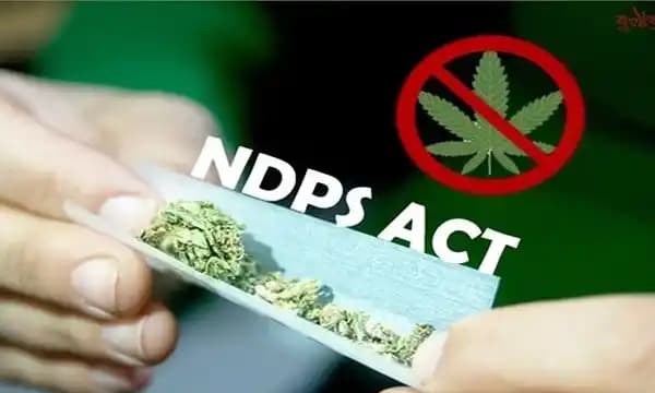 Kerala High Court Grants Bail in NDPS Case Due to Non-Communication of Arrest Grounds