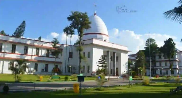Gauhati High Court Questions Land Allotment for Cement Plant in Dima Hasao
