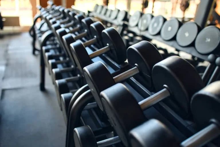 Andhra Pradesh High Court: Gym Equipment Like Treadmills and Dumbbells Are ‘Sports Goods’ Under VAT Act
