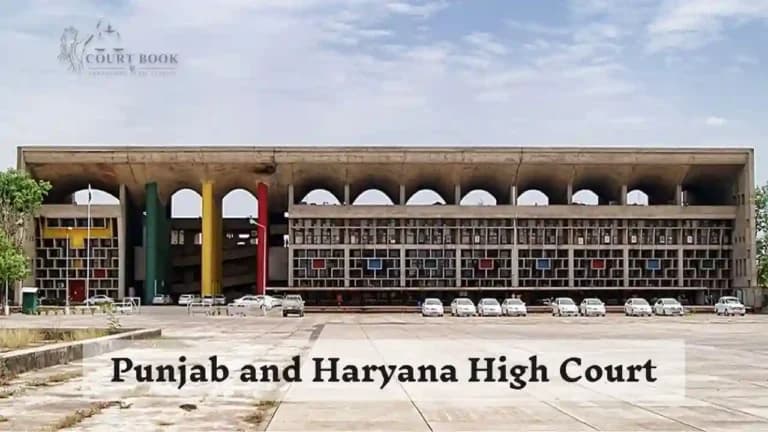 Punjab Court Directs Swift Action to Address Delays in Medical Reports for Criminal Investigations