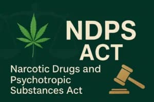 Kerala High Court Slams Police Over Delayed Production, Grants Bail in NDPS Case After 'Vitiated Arrest' Finding