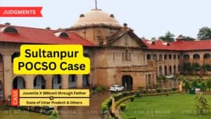 Allahabad High Court Grants Bail to 15-Year-Old in Sultanpur POCSO Case After 18 Months in Custody