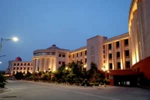 Allahabad High Court Tightens Grip in Caste Scrutiny Contempt Case, Issues Bailable Warrant After Repeated Non-Compliance