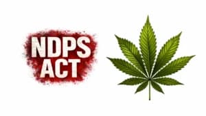 Supreme Court Acquits Russian National in 1.9 Kg Charas Case, Finds Flaws in Search and Arrest Procedure